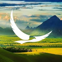 The Eagle Tours